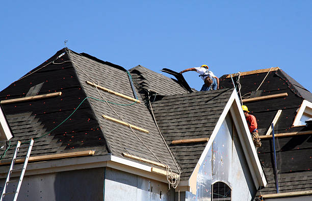 Best Asphalt Shingle Roofing  in Lebanon, VA