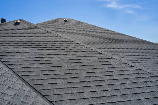 Best Sheet Metal Roofing  in Lebanon, VA